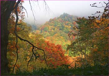 戸隠山霧に