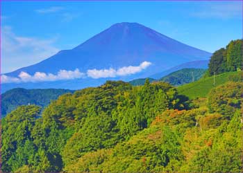 野背開戸から秋富士