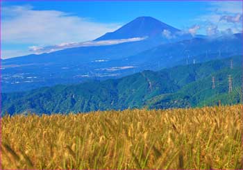 富士山