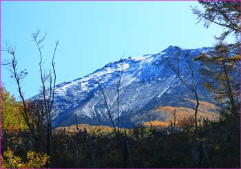 富士山望む