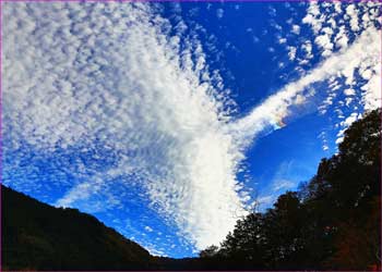 鳥雲が