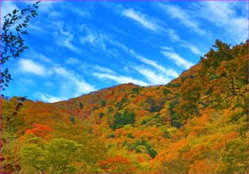 秋の山