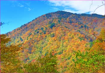 秋模様の山