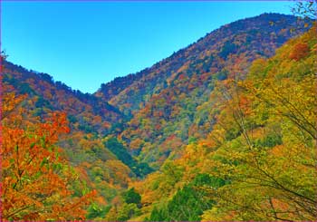 秋の野陣尾根