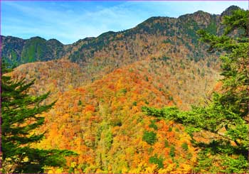 飛龍山の紅葉