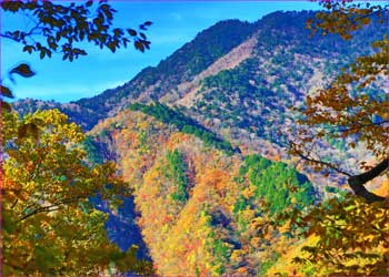 飛龍山秋景