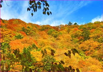 尾根の秋