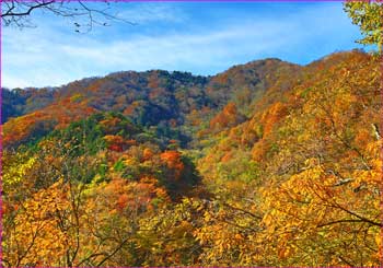 天平尾根見ゆ