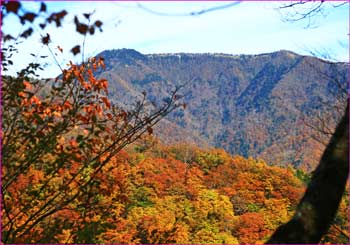 雲取山展望