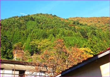 丹波から天平尾根を見上げる