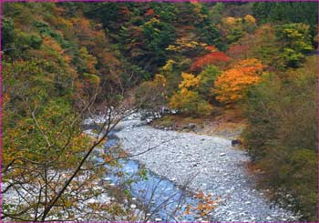 玄倉川