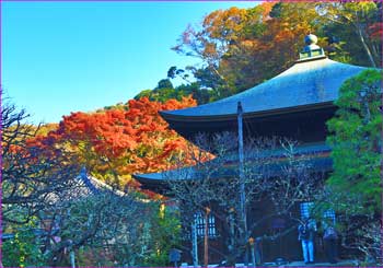 瑞泉寺本堂