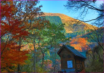 大野山望む