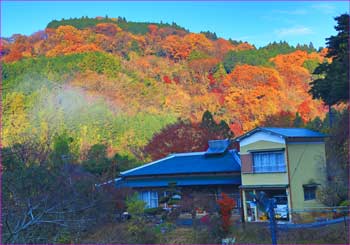 野背開戸晩秋