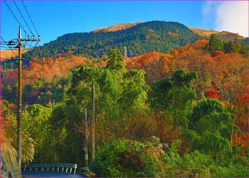 大野山望む