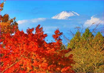 紅葉と富士