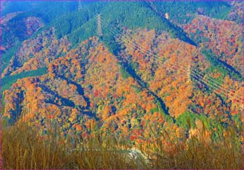 晩秋の河内川