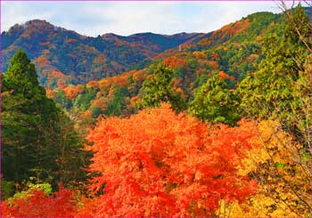 紅葉の山麓