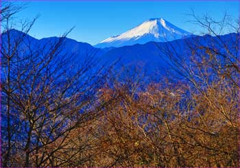 城山から富士山