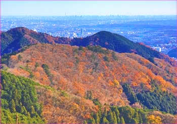 晩秋の尾根