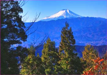 影信山から富士山