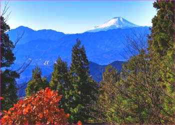 富士山