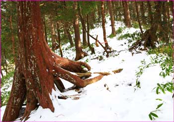 長塀山へ