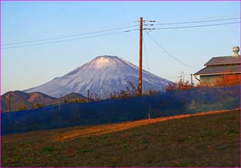 富士山が見ゆ