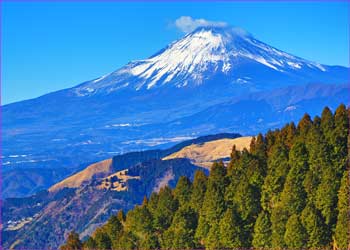 富士山展望