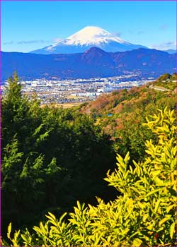 富士山展望