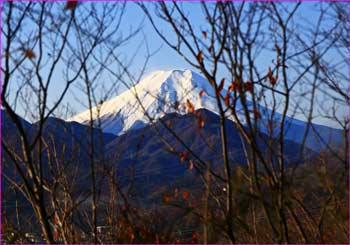 富士山