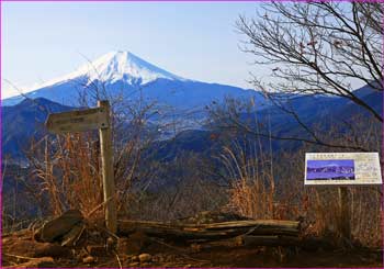 高川山頂