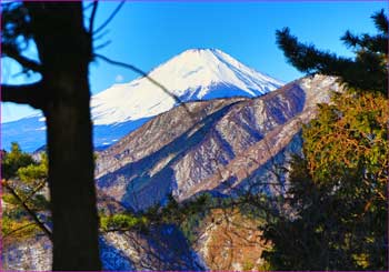 富士山見ゆ