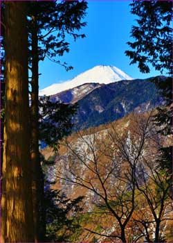 堀山から富士山