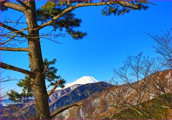 松の富士