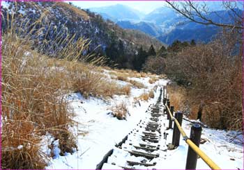 牧場から下山道