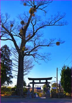 宗我神社