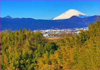 富士山展望