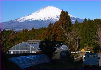 富士山