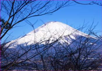 富士山