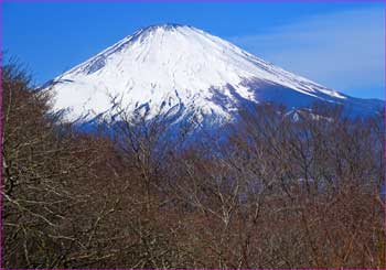 富士山