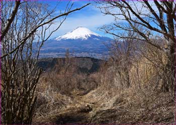 矢倉岳から富士山