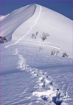 雪峰越えて