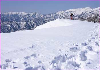 登山者が