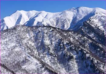 仙ノ倉に平標山