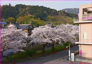 桜の湯付近