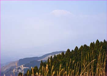 富士山かすかに