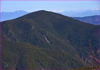 小川山