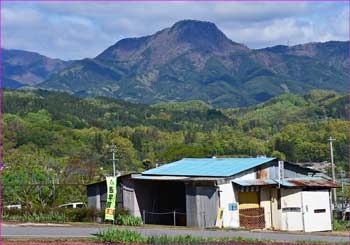 子檀嶺岳