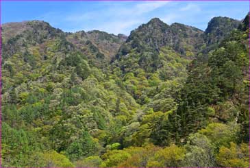 沢山池から独鈷山